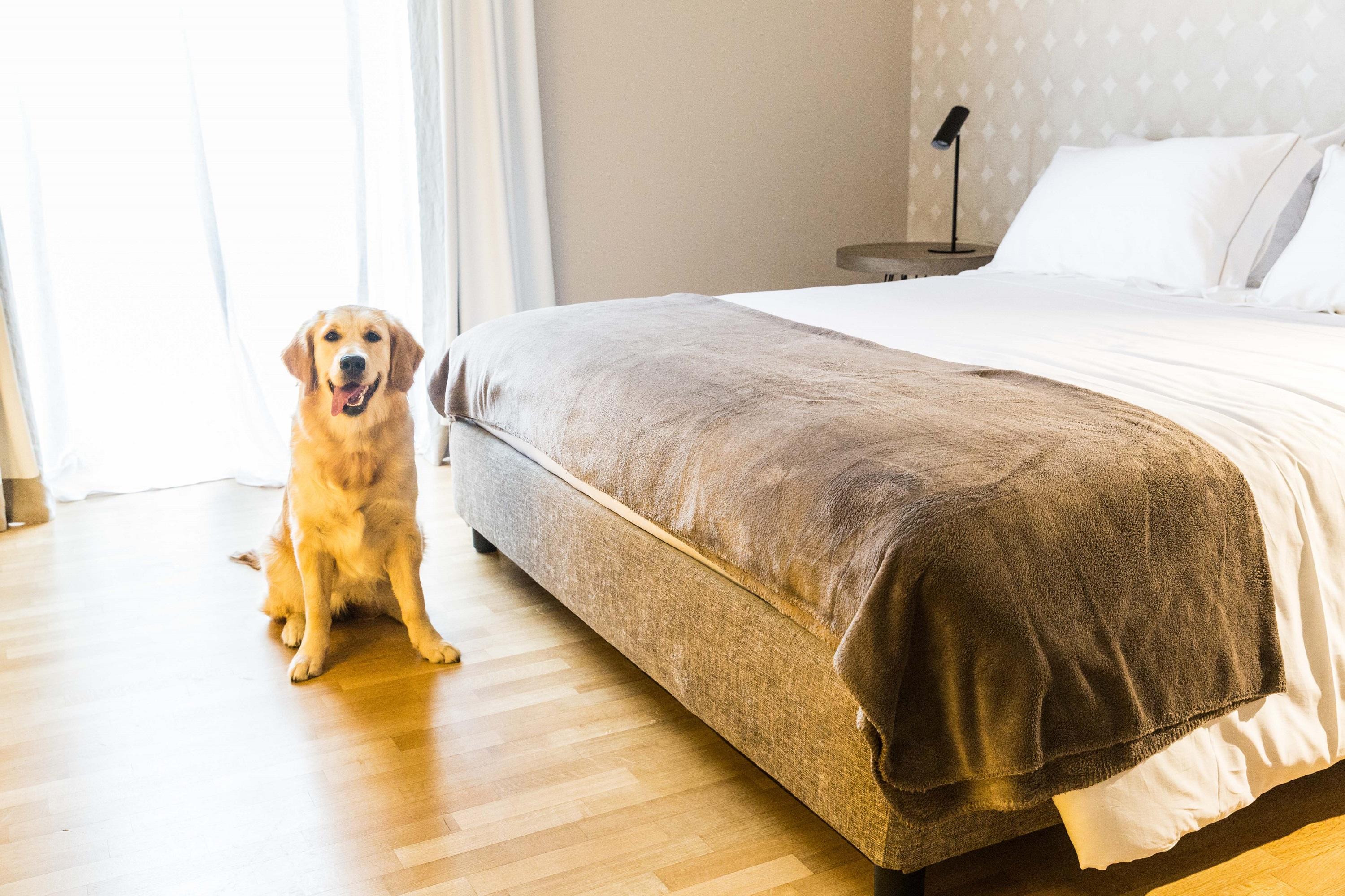 200 Rooms & Terrace Bari Zewnętrze zdjęcie