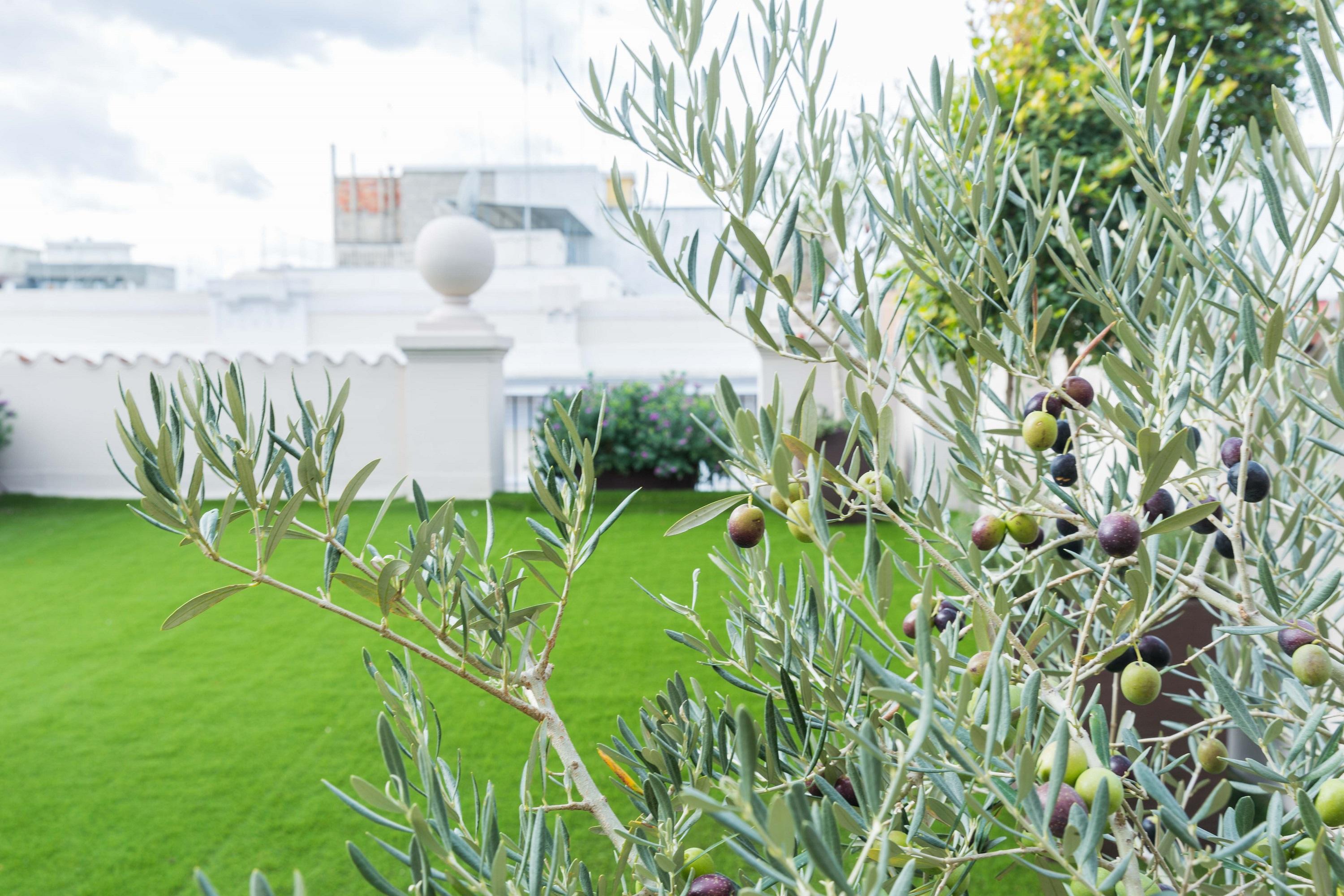200 Rooms & Terrace Bari Zewnętrze zdjęcie