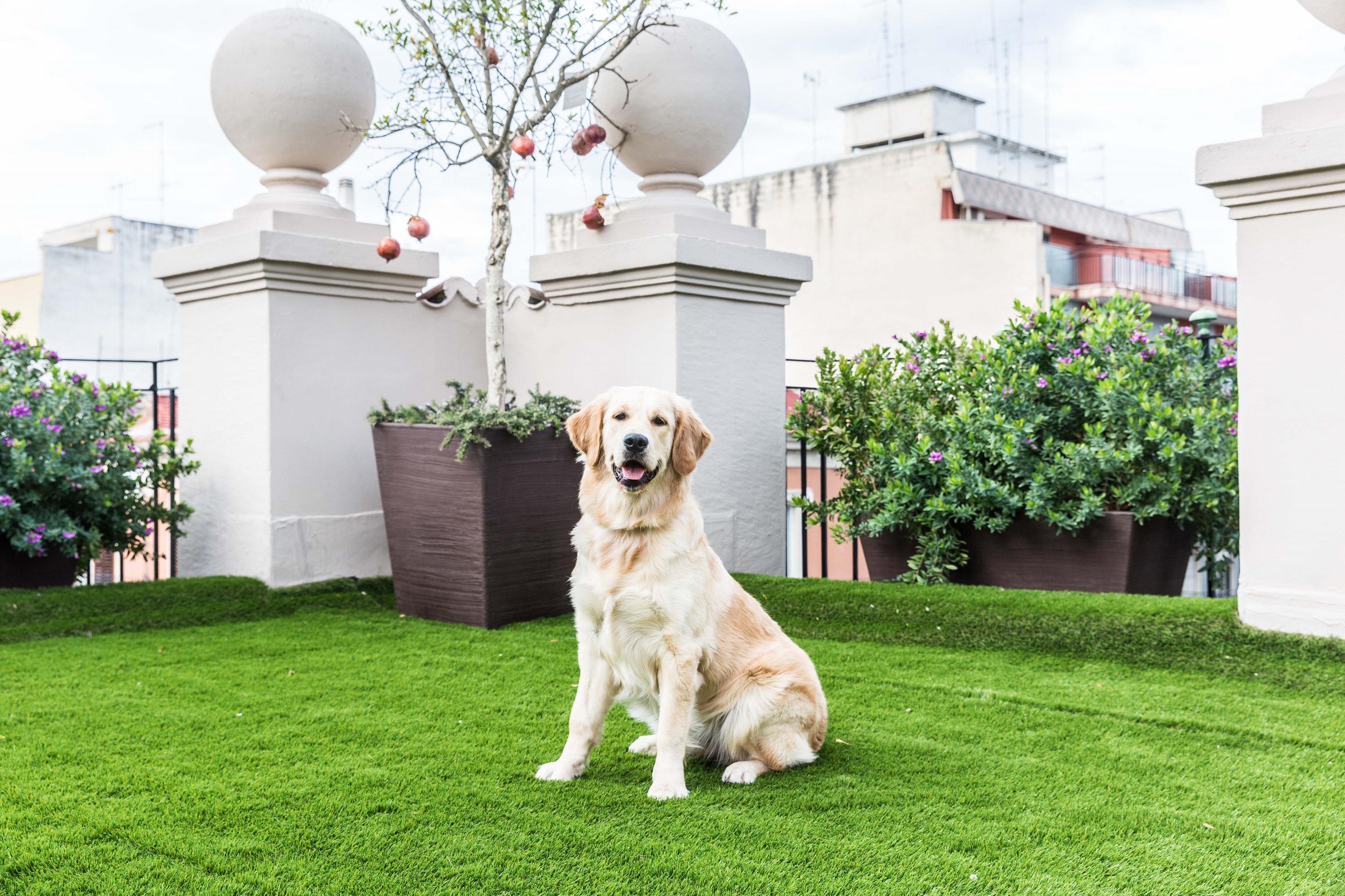 200 Rooms & Terrace Bari Zewnętrze zdjęcie